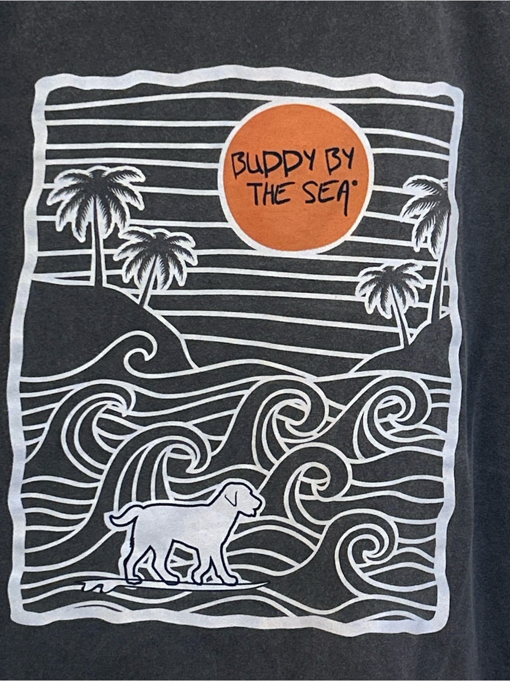 Buddy By The Sea Rehoboth Beach Comfort Colors Graphic Tee XL Gray - Picture 4 of 5